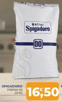 Moderna Spigadoro farina 00 offerta
