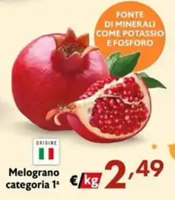 Maxi Supermercati Melograno categoria 1ª offerta