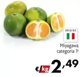 Maxi Family Miyagawa categoria 1ª offerta