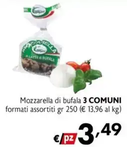 Maxi Family Mozzarella di bufala 3 COMUNI offerta