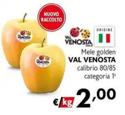 Maxi Family Mele golden Val Venosta offerta