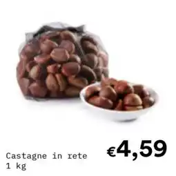 Borello Supermercati Castagne in rete offerta