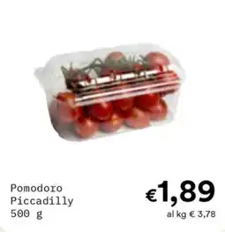 Borello Supermercati Pomodoro Piccadilly offerta