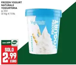 Panorama Frozen Yogurt Naturale Yogurteria offerta