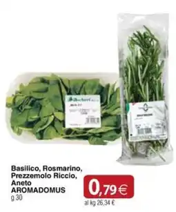 Docks Cash&Carry Basilico, Rosmarino, Prezzemolo Riccio, Aneto AROMADOMUS offerta