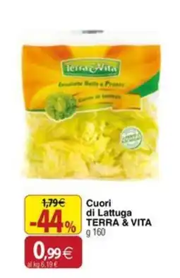 Docks Cash&Carry Cuori di Lattuga TERRA & VITA offerta