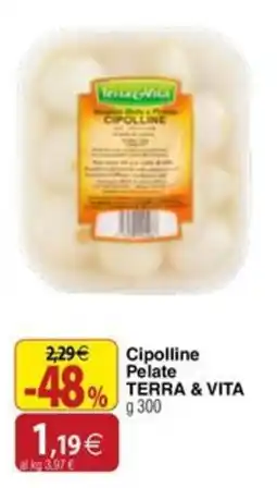 Docks Cash&Carry Cipolline Pelate TERRA & VITA offerta