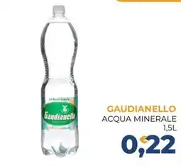 Moderna Gaudianello acqua minerale offerta