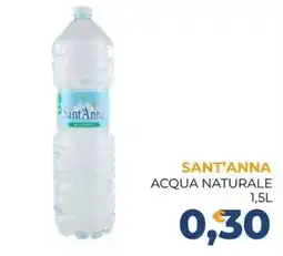 Moderna Acqua naturale Sant'Anna offerta
