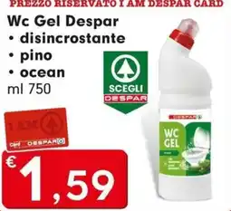 DeSpar Express Wc Gel Despar offerta