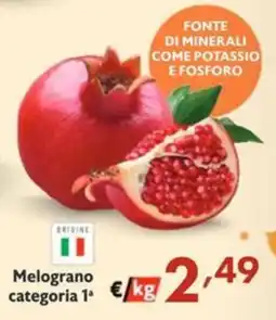 SuperW Melograno categoria 1ª offerta