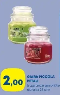 Panorama TiBi Giara piccola petali offerta