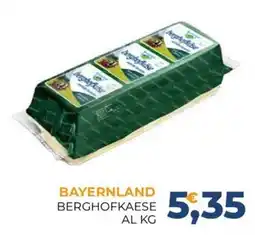 Moderna Bayernland Berghofkaese offerta
