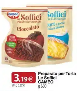 Docks Cash&Carry Preparato per Torta Le Soffici CAMEO offerta