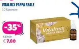 Panorama TiBi Vitalmix Pappa Reale offerta