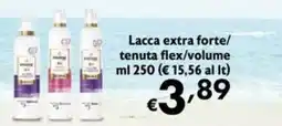 Eurospesa Lacca extra forte/tenuta flex/volume offerta