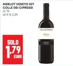 Panorama Merlot Veneto IGT Colle dei Cipressi offerta