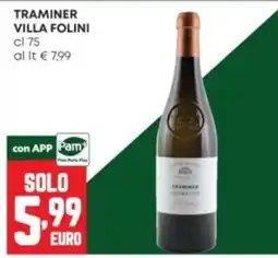 Panorama Traminer Villa Folini offerta