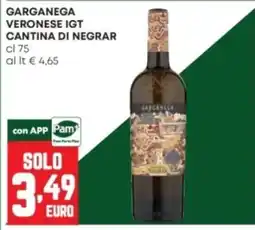 Panorama Garganega Veronese IGT Cantina di Negrar offerta