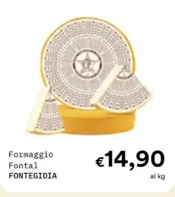 Borello Supermercati Formaggio Fontal Fontegidia offerta