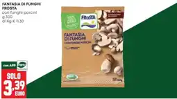 Panorama Fantasia di funghi con funghi porcini Frosta offerta