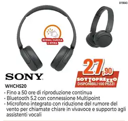Expert Di Lella Sony WHCH520 offerta