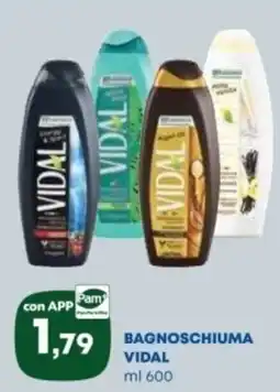Panorama TiBi Bagnoschiuma Vidal offerta