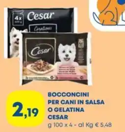 Panorama TiBi Bocconcini per cani in salsa o gelatina Cesar offerta