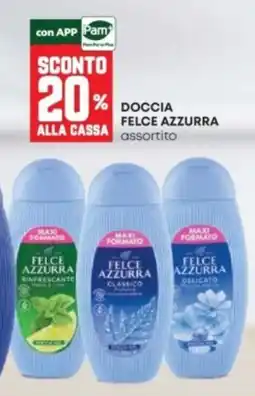 Panorama Doccia Felce Azzurra assortito offerta