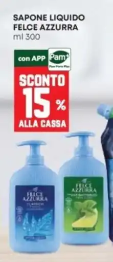 Panorama Sapone liquido Felce Azzurra offerta