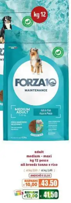 Forza 10 Maintenance