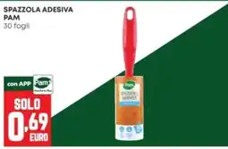 Panorama Spazzola adesiva Pam offerta