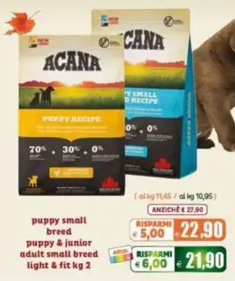 Acana puppy small breed