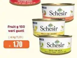 Elite Pet Fruit Schesir offerta