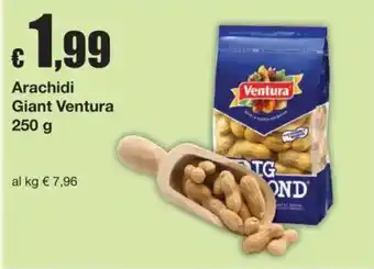 Arachidi Giant Ventura
