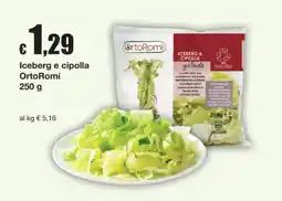 Sì con te Iceberg e cipolla OrtoRomi offerta