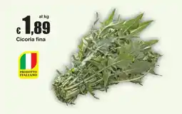 Sì con te Cicoria fina offerta