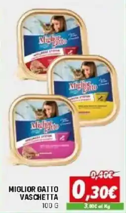 Orizzonte Miglior Gatto Vaschetta offerta