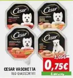 Orizzonte Cesar vaschetta offerta
