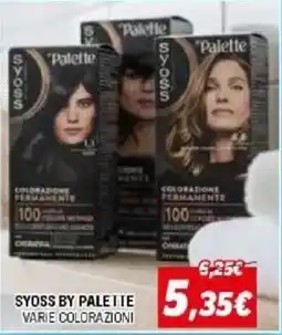 Orizzonte Syoss by Palette colorazione permanente offerta
