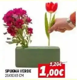 Orizzonte Spugna verde offerta