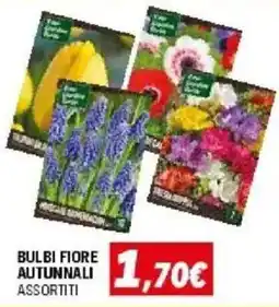 Orizzonte Bulbi fiore autunnali assortiti offerta