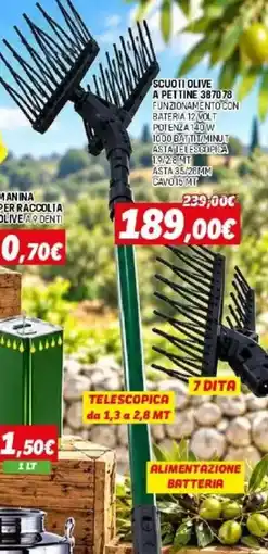 Orizzonte Scuoti olive a pettine offerta