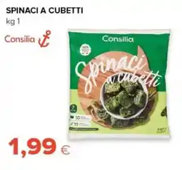 Tigre Spinaci a cubetti Consilia offerta
