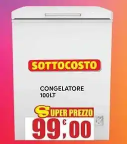 Maury's Congelatore 100lt offerta