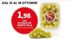 Extracoop Uva di Puglia IGP offerta