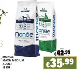 Zoomiguana Monge Maxi/Medium Adult offerta