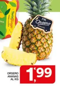 Quick Sisa Orsero ananas offerta