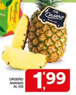 Quick Sisa Orsero ananas offerta