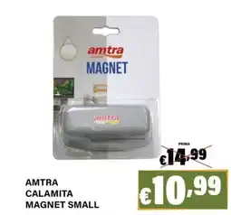 Zoomiguana Amtra calamita magnet small offerta
